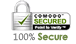 100% Secure Website
