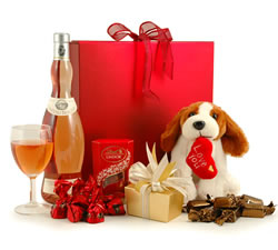 Cuddly Dog Gift Box 