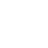 delivery icon