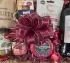 Premium Red Wine, Cheese & Pâté Hamper