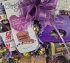 Choc, Fruit & Nut Delight